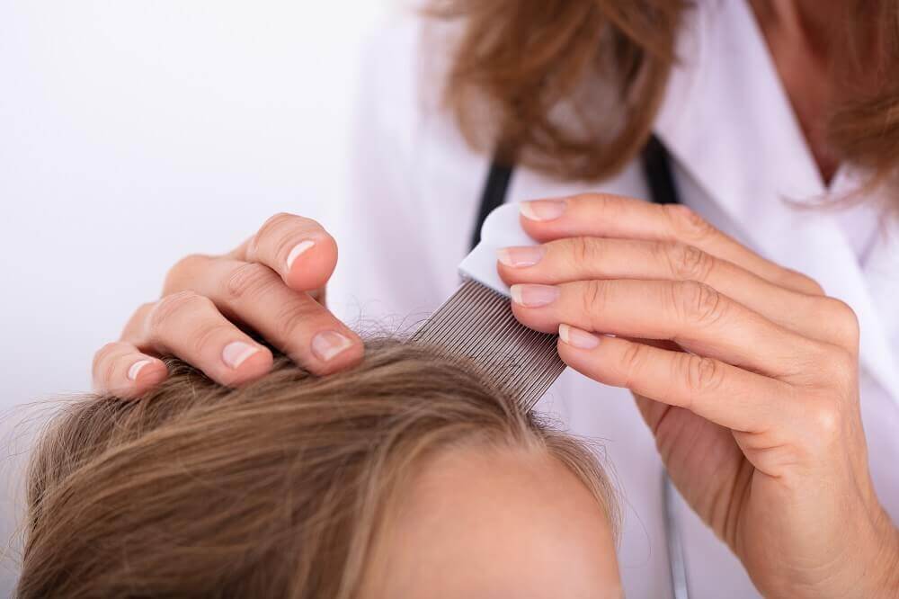 Head lice are very small parasites that live on human blood and are usually found on the head, as they are attracted to hair.